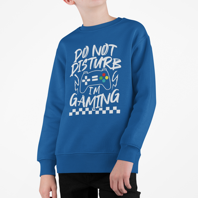 'Do Not Disturb, I'm Gaming' Kids Sweatshirt