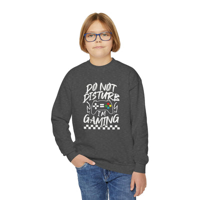 'Do Not Disturb, I'm Gaming' Kids Sweatshirt